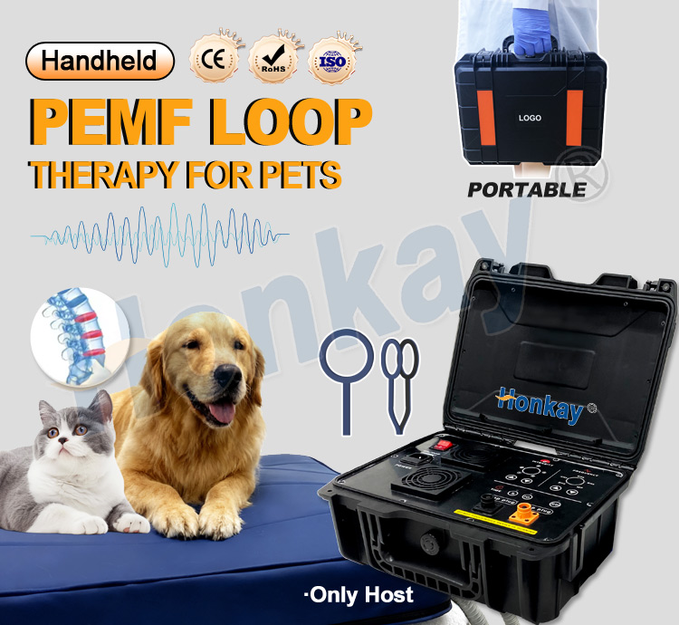 ペット用PEMFデバイスループ 犬の健康維持 猫のボディマッ - Health Wellness のレビューと価格