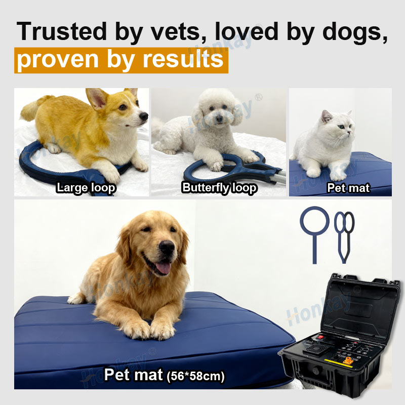 ペット用PEMFデバイスループ 犬の健康維持 猫のボディマッ - Health Wellness のレビューと価格