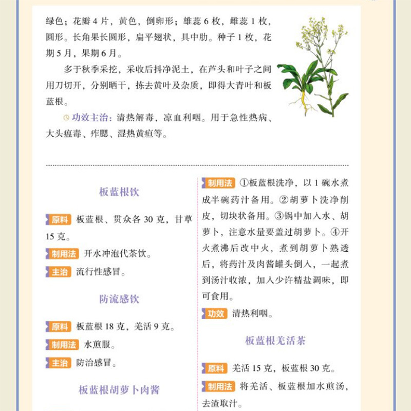単一のハーブによる中国伝統医学の栄養補給のためのクイックリフ - Herbal Wellness Tonic のレビューと価格